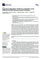 Long Non-Coding RNAs (lncRNAs) as Regulators of the PI3K/AKT/mTOR Pathway in Gastric Carcinoma