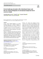 Forest landscape dynamics after intentional large-scale fires in western Patagonia reveal unusual temperate forest recovery trends