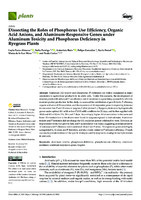 Dissecting the Roles of Phosphorus Use Efficiency, Organic Acid Anions, and Aluminum-Responsive Genes under Aluminum Toxicity and Phosphorus Deficiency in Ryegrass Plants (version publicada)