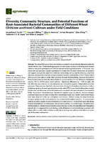 Diversity, Community Structure, and Potential Functions of Root-Associated Bacterial Communities of Different Wheat (Triticum aestivum) Cultivars under Field Conditions