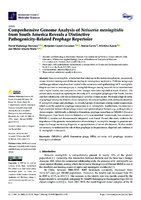      Comprehensive Genome Analysis of Neisseria meningitidis from South America Reveals a Distinctive Pathogenicity-Related Prophage Repertoire 