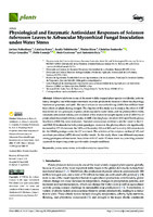 Physiological and Enzymatic Antioxidant Responses of Solanum tuberosum Leaves to Arbuscular Mycorrhizal Fungal Inoculation under Water Stress (version publicada)