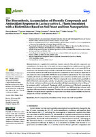 The Biosynthesis, Accumulation of Phenolic Compounds and Antioxidant Response in Lactuca sativa L. Plants Inoculated with a Biofertilizer Based on Soil Yeast and Iron Nanoparticles (version publicada))
