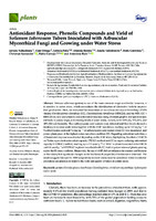 Antioxidant Response, Phenolic Compounds and Yield of Solanum tuberosum Tubers Inoculated with Arbuscular Mycorrhizal Fungi and Growing under Water Stress (version publicada))