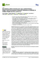 Inoculation with Actinobacteria spp. Isolated from a Hyper-Arid Environment Enhances Tolerance to Salinity in Lettuce Plants (Lactuca sativa L.)