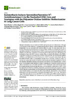 Indomethacin Induces Spermidine/Spermine-N1-Acetyltransferase-1 via the Nucleolin-CDK1 Axis and Synergizes with the Polyamine Oxidase Inhibitor Methoctramine in Lung Cancer Cells