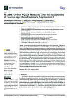 MALDI-TOF MS: A Quick Method to Detect the Susceptibility of Fusarium spp. Clinical Isolates to Amphotericin B