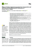 Impact of Sodium Alginate-Encapsulated Iron Nanoparticles and Soil Yeasts on the Photosynthesis Performance of Lactuca sativa L. Plants (version publicada)
