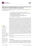 Engineering an Integrated Bioprocess to Produce Human Dental Pulp Stem Cell-Alginate-Based Bone Organoids (version publicada)