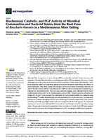 Biochemical, Catabolic, and PGP Activity of Microbial Communities and Bacterial Strains from the Root Zone of Baccharis linearis in a Mediterranean Mine Tailing