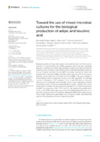 Toward the use of mixed microbial cultures for the biological production of adipic and levulinic acid