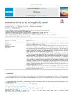 International survey on dry eye diagnosis by experts