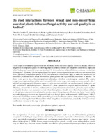 Do root interactions between wheat and non-mycorrhizal ancestral plants influence fungal activity and soil quality in an Andisol?