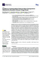 Synthesis of Antimicrobial Chitosan-Silver Nanoparticles Mediated by Reusable Chitosan Fungal Beads 