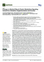 Changes in Skeletal Muscle Protein Metabolism Signaling Induced by Glutamine Supplementation and Exercise