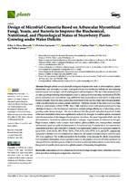  Design of Microbial Consortia Based on Arbuscular Mycorrhizal Fungi, Yeasts, and Bacteria to Improve the Biochemical, Nutritional, and Physiological Status of Strawberry Plants Growing under Water Deficits  (version publicada)