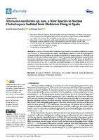  Alternaria muriformis sp. nov., a New Species in Section Chalastospora Isolated from Herbivore Dung in Spain 