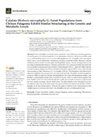 Calafate (Berberis microphylla G. Forst) Populations from Chilean Patagonia Exhibit Similar Structuring at the Genetic and Metabolic Levels