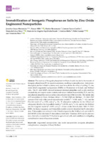  Immobilization of Inorganic Phosphorus on Soils by Zinc Oxide Engineered Nanoparticles (version publicada)