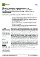 Enhancing Water Status and Nutrient Uptake in Drought-Stressed Lettuce Plants (Lactuca sativa L.) via Inoculation with Different Bacillus spp. Isolated from the Atacama Desert (version publicada)