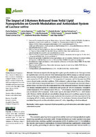 The Impact of 2-Ketones Released from Solid Lipid Nanoparticles on Growth Modulation and Antioxidant System of Lactuca sativa