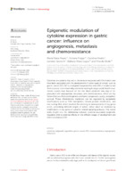 Epigenetic modulation of cytokine expression in gastric cancer: influence on angiogenesis, metastasis and chemoresistance