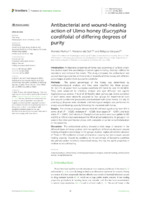 Antibacterial and wound-healing action of Ulmo honey (Eucryphia cordifolia) of differing degrees of purity