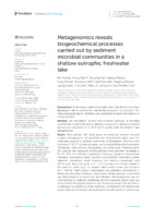 Metagenomics reveals biogeochemical processes carried out by sediment microbial communities in a shallow eutrophic freshwater lake