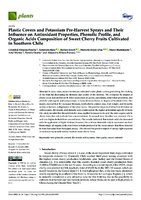 Plastic Covers and Potassium Pre-Harvest Sprays and Their Influence on Antioxidant Properties, Phenolic Profile, and Organic Acids Composition of Sweet Cherry Fruits Cultivated in Southern Chile