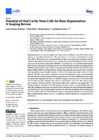 Potential of Oral Cavity Stem Cells for Bone Regeneration: A Scoping Review