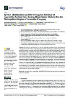 Species Identification and Mycotoxigenic Potential of Aspergillus Section Flavi Isolated from Maize Marketed in the Metropolitan Region of Asuncion, Paraguay