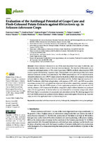 Evaluation of the Antifungal Potential of Grape Cane and Flesh-Coloured Potato Extracts against Rhizoctonia sp. in Solanum tuberosum Crops