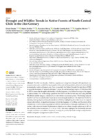 Drought and Wildfire Trends in Native Forests of South-Central Chile in the 21st Century