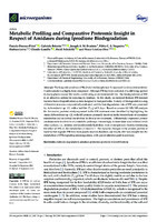Metabolic Profiling and Comparative Proteomic Insight in Respect of Amidases during Iprodione Biodegradation