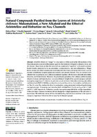 Natural Compounds Purified from the Leaves of Aristotelia chilensis: Makomakinol, a New Alkaloid and the Effect of Aristoteline and Hobartine on NaV Channels