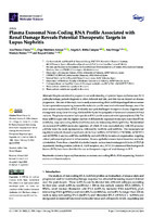  Plasma Exosomal Non-Coding RNA Profile Associated with Renal Damage Reveals Potential Therapeutic Targets in Lupus Nephritis 