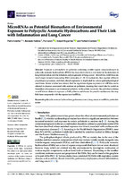 MicroRNAs as Potential Biomarkers of Environmental Exposure to Polycyclic Aromatic Hydrocarbons and Their Link with Inflammation and Lung Cancer 