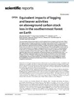 Equivalent impacts of logging and beaver activities on aboveground carbon stock loss in the southernmost forest on Earth