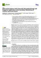 Effect of Inoculation with Arbuscular Mycorrhizal Fungi and Fungicide Application on the Secondary Metabolism of Solanum tuberosum Leaves (version publicada)