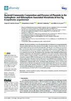 Bacterial Community Composition and Presence of Plasmids in the Endosphere- and Rhizosphere-Associated Microbiota of Sea Fig (Carpobrotus aequilaterus)
