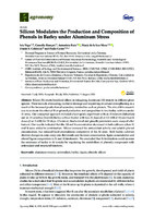Silicon Modulates the Production and Composition of Phenols in Barley under Aluminum Stress (version publicada))