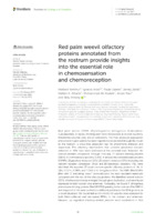 Red palm weevil olfactory proteins annotated from the rostrum provide insights into the essential role in chemosensation and chemoreception
