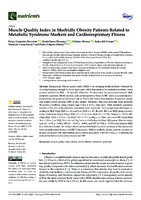 Muscle Quality Index in Morbidly Obesity Patients Related to Metabolic Syndrome Markers and Cardiorespiratory Fitness
