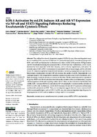 LOX-1 Activation by oxLDL Induces AR and AR-V7 Expression via NF-κB and STAT3 Signaling Pathways Reducing Enzalutamide Cytotoxic Effects 