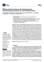 Melanin Induction Restores the Pathogenicity of Gaeumannomyces graminis var. tritici in Wheat Plants 